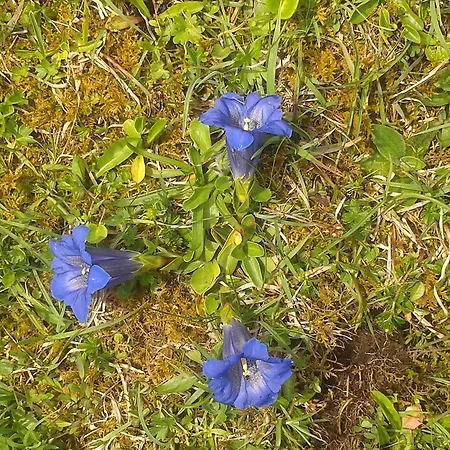 Haus Roland * Zell am Ziller