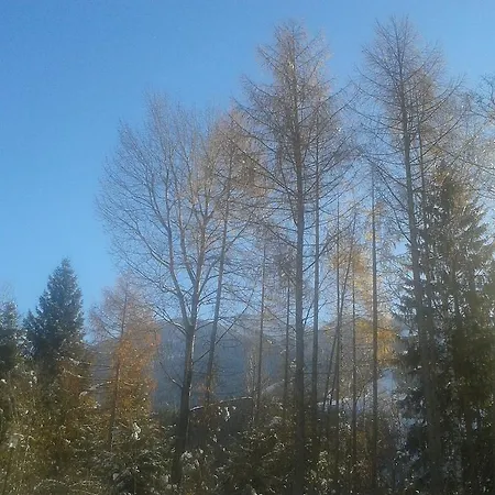 Haus Roland Apartmán *
