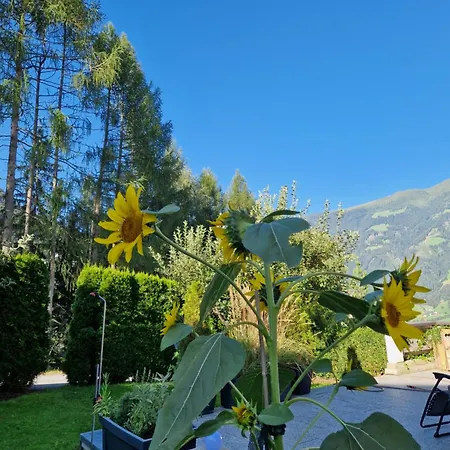 Haus Roland Appartamento *