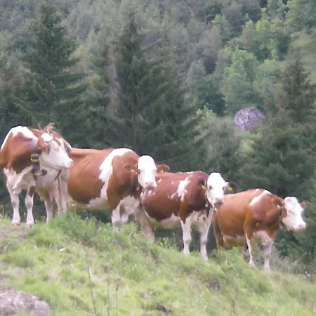 Apartament Haus Roland Zell am Ziller