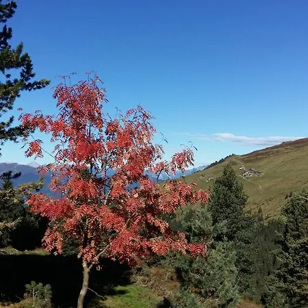 Apartament Haus Roland *