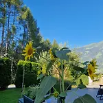 Haus Roland Apartment *